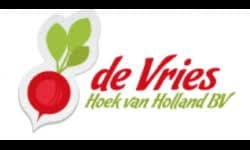 logo of de vries hoek van holland bv