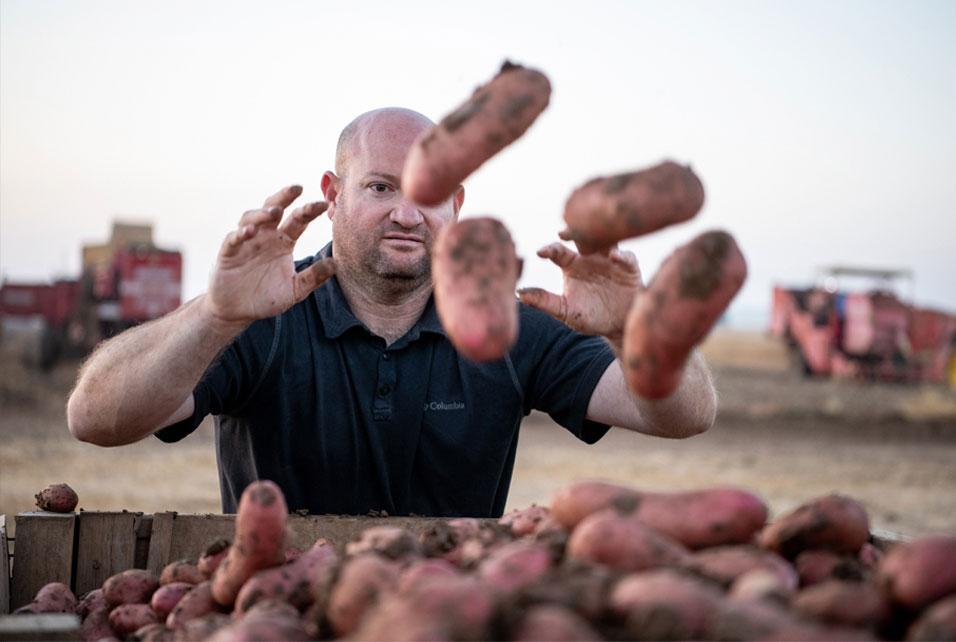 Potatoes Considered Vegetables?